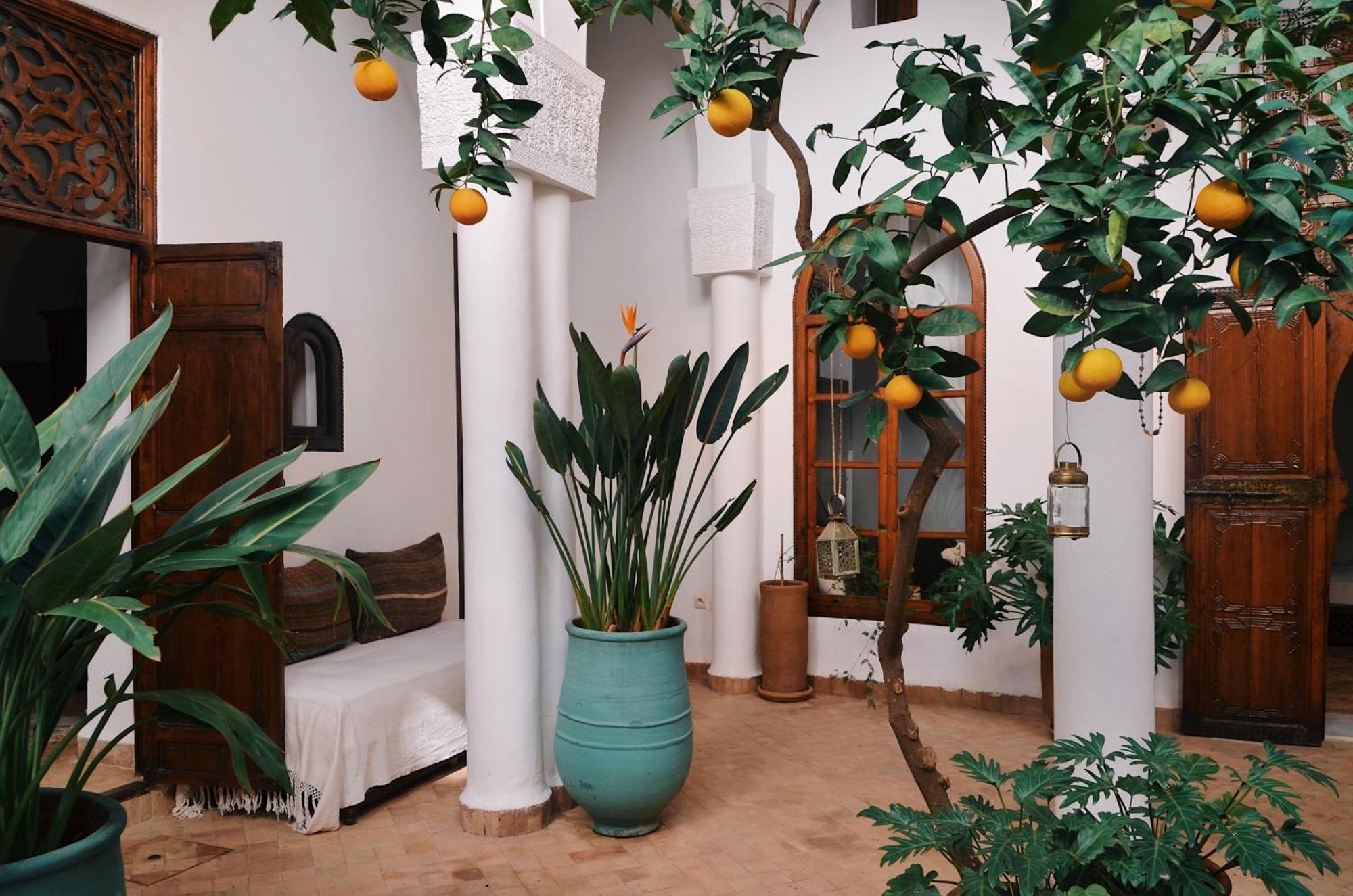 Nosade Venue Bed & Breakfast Маракеш Екстериор снимка